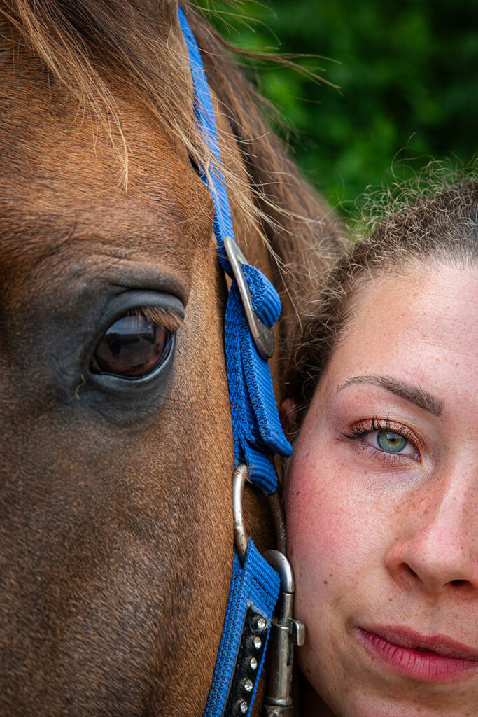Auge in Auge mit dem Pferd